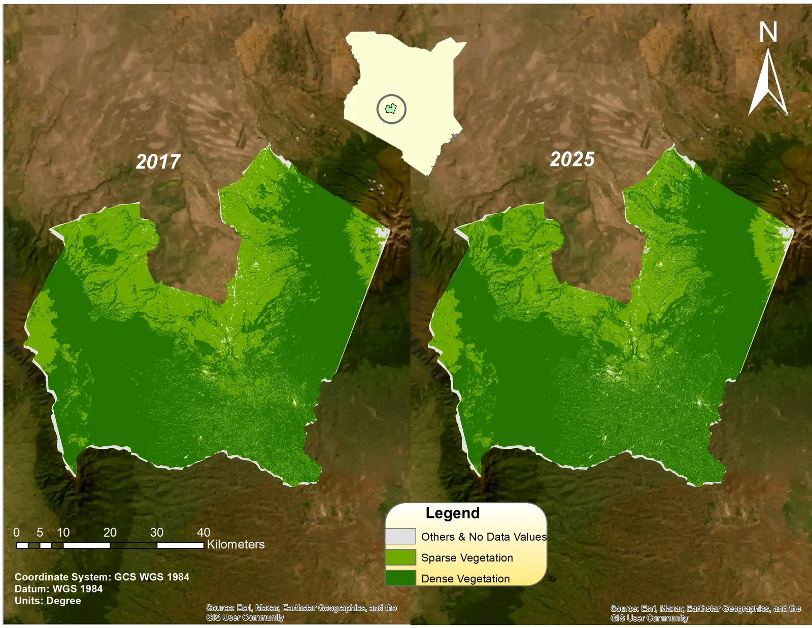 Forest cover in 2017 and 2025